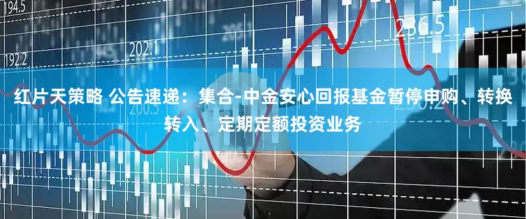红片天策略 公告速递：集合-中金安心回报基金暂停申购、转换转入、定期定额投资业务
