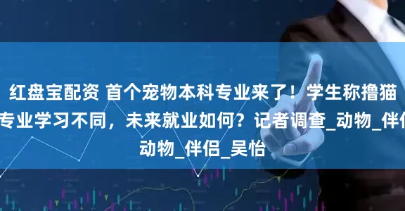 红盘宝配资 首个宠物本科专业来了！学生称撸猫遛狗与专业学习不同，未来就业如何？记者调查_动物_伴侣_吴怡
