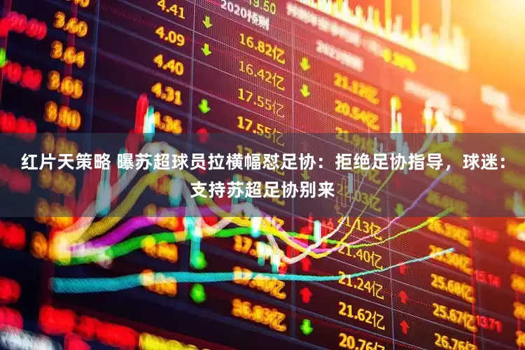 红片天策略 曝苏超球员拉横幅怼足协：拒绝足协指导，球迷：支持苏超足协别来