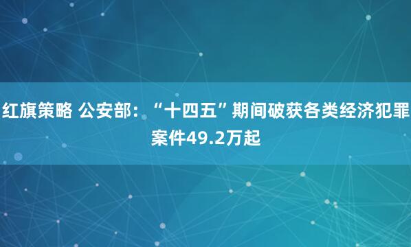 红旗策略 公安部：“十四五”期间破获各类经济犯罪案件49.2万起